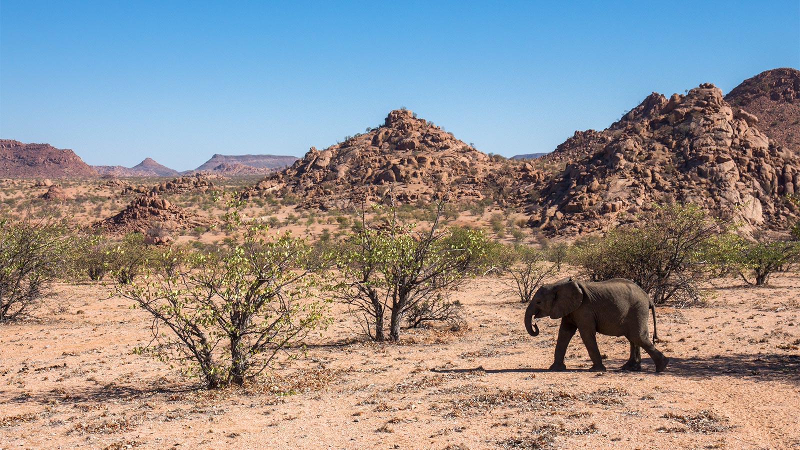 Camp Kipwe 7 Damaraland Namibia