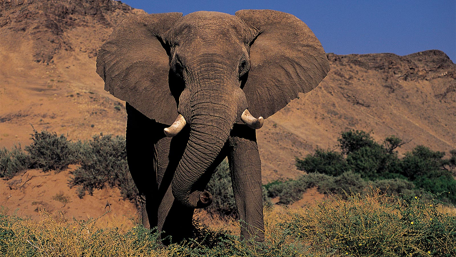 Camp Kipwe 8 Damaraland Namibia