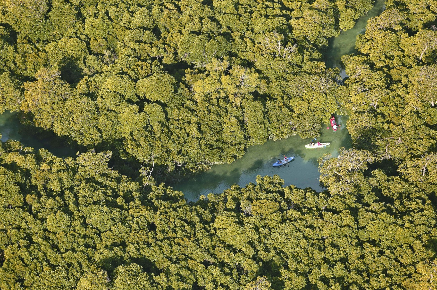 Azura Quilalea Cabo Delgado Mozambique37