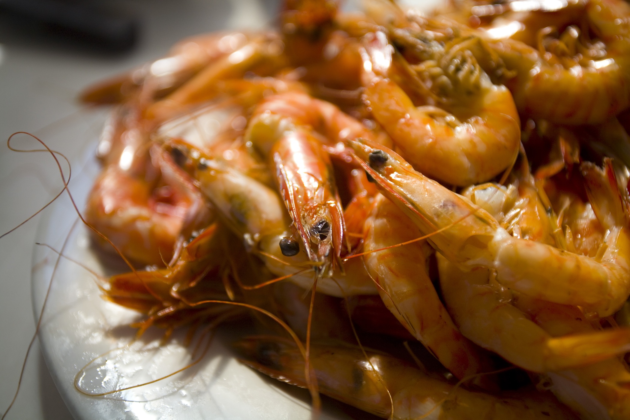 Ibo Island Lodge Cabo Delgado Mozambique74 Copy