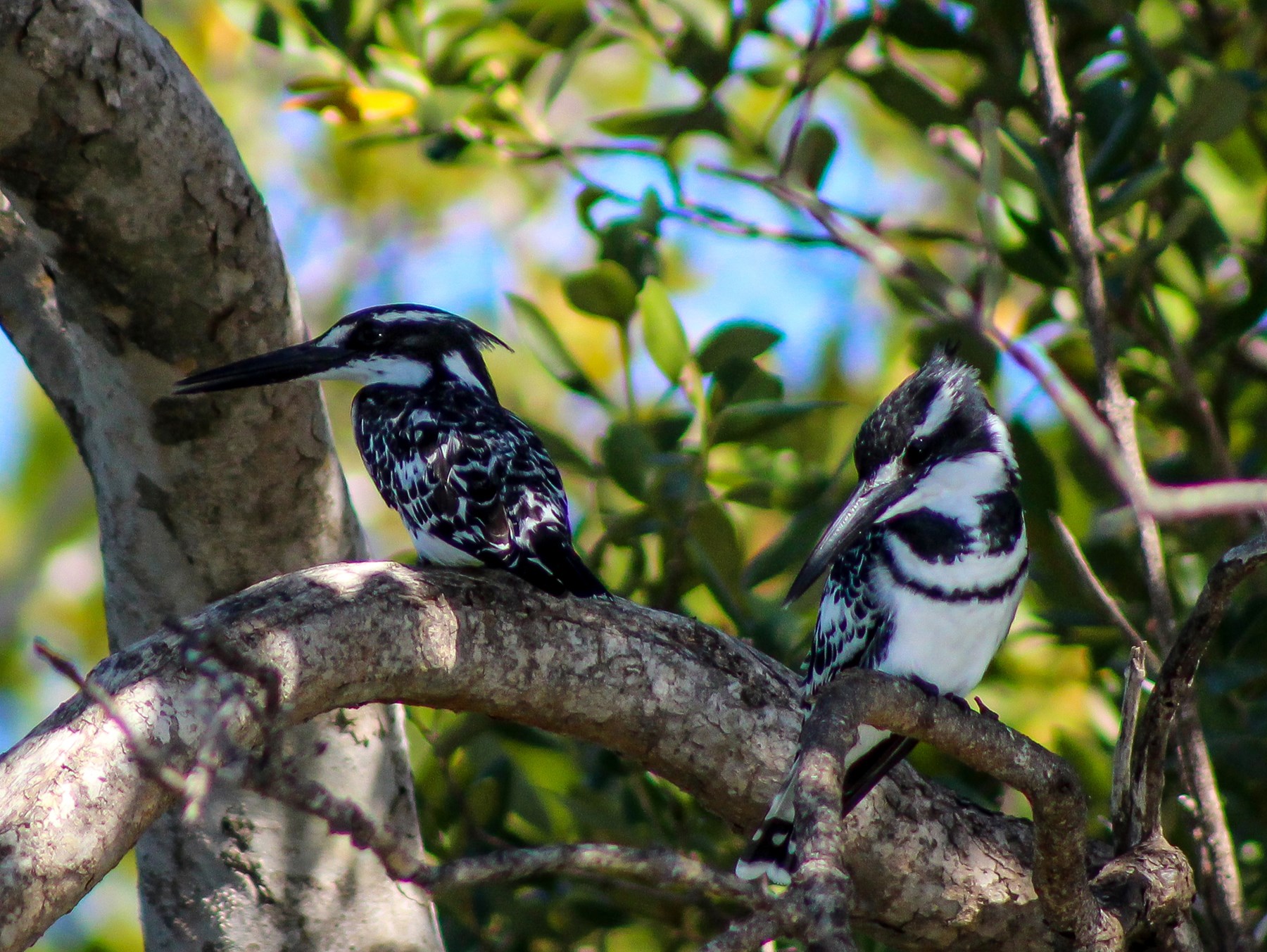 Machangulo Beach Lodge Nampula Mozambique15