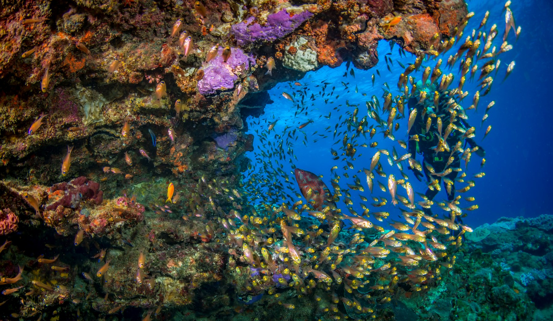 White Pearl Maputu Mozambique2