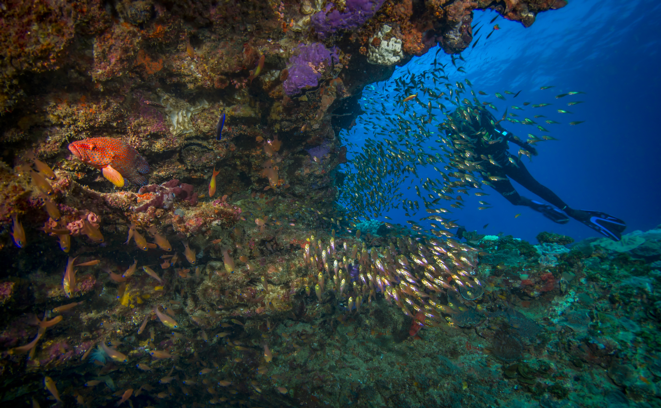 White Pearl Maputu Mozambique3