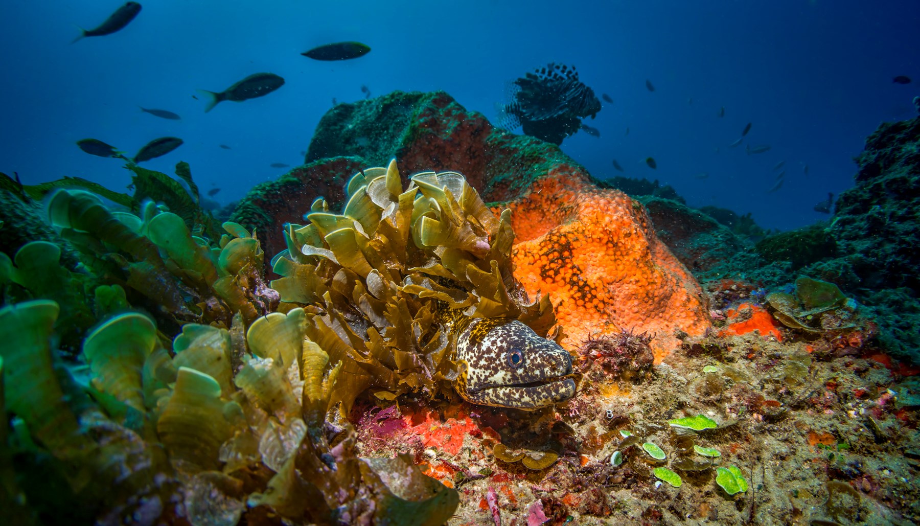 White Pearl Maputu Mozambique30