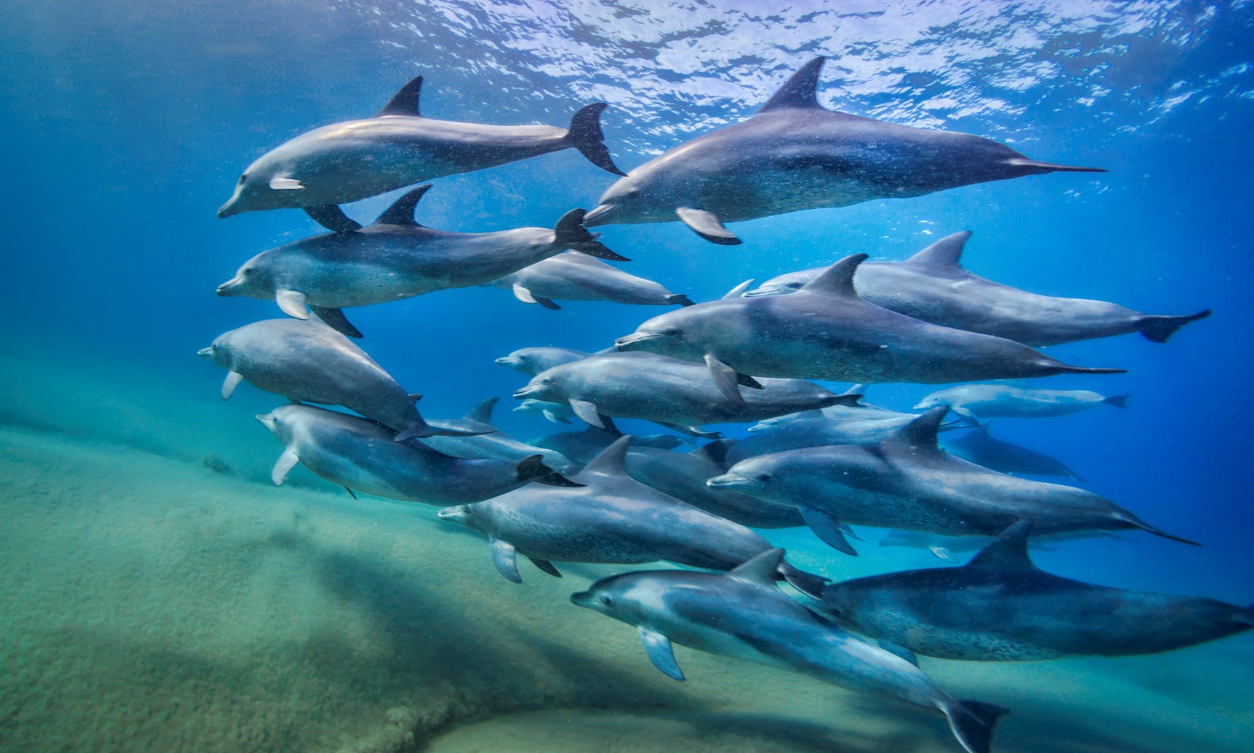 White Pearl Maputu Mozambique61