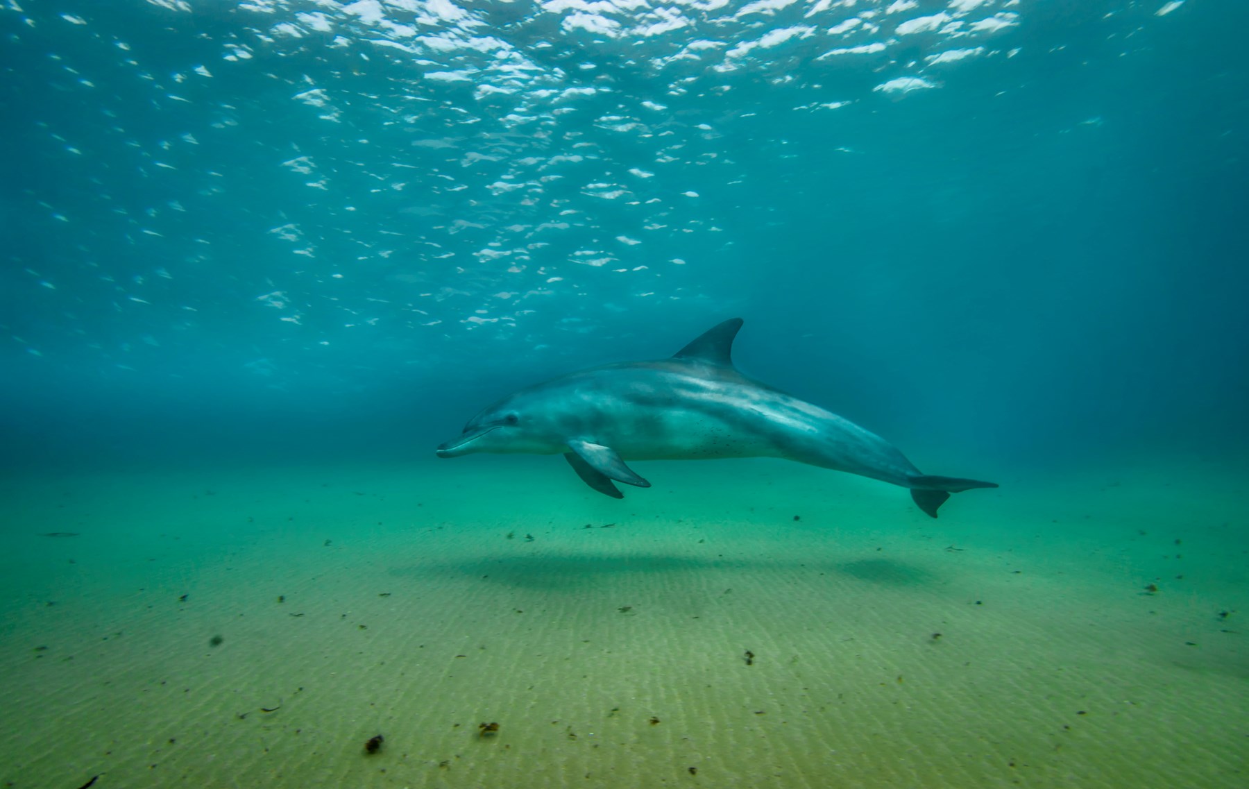 White Pearl Maputu Mozambique71