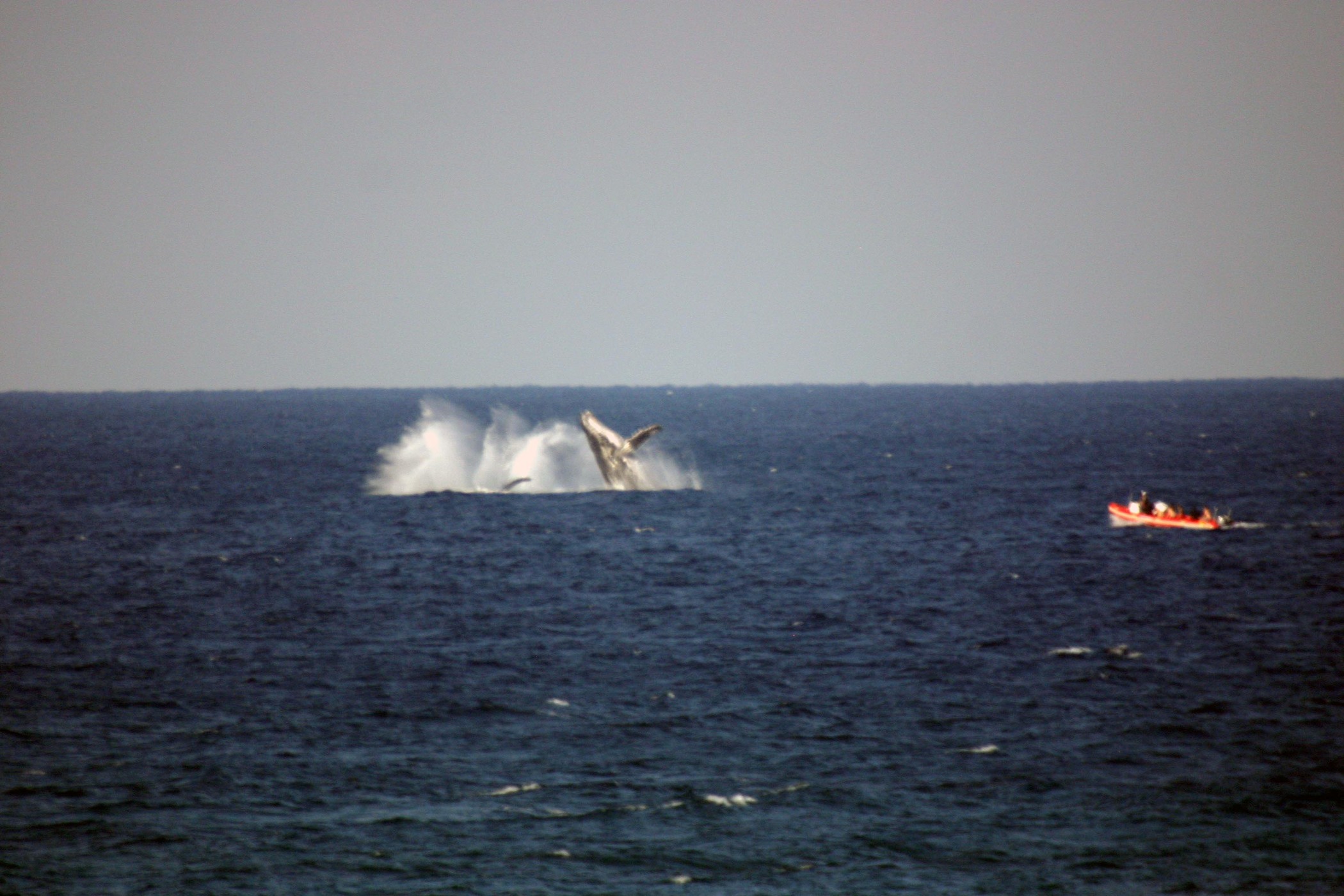 White Pearl Maputu Mozambique85