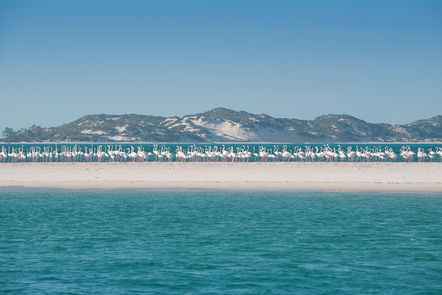 The Santorini Vilanculos Mozambique472