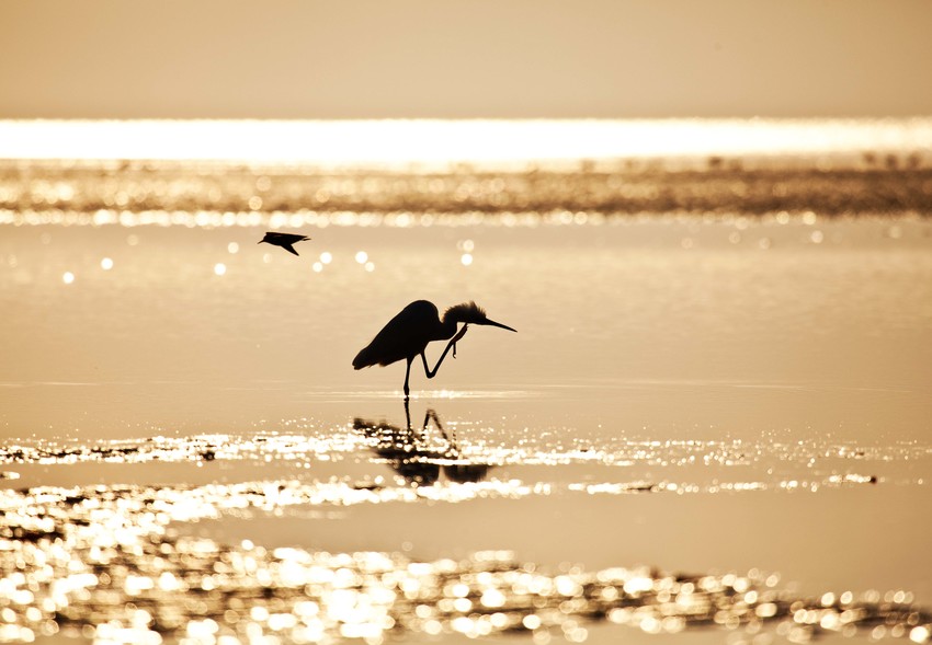 Ibo Island Lodge Cabo Delgado Mozambique16