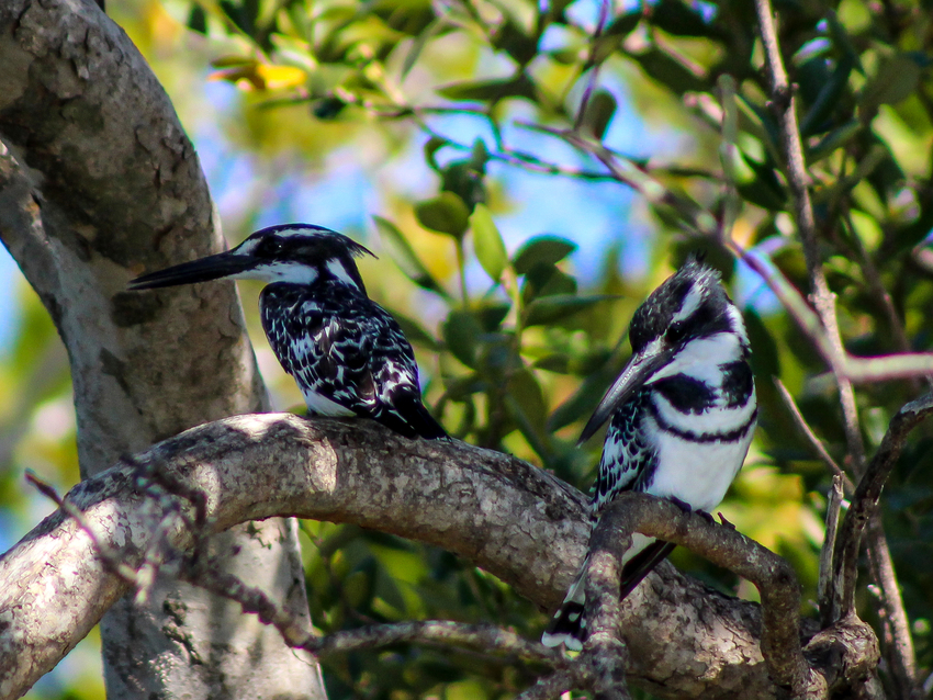 Machangulo Beach Lodge Nampula Mozambique15