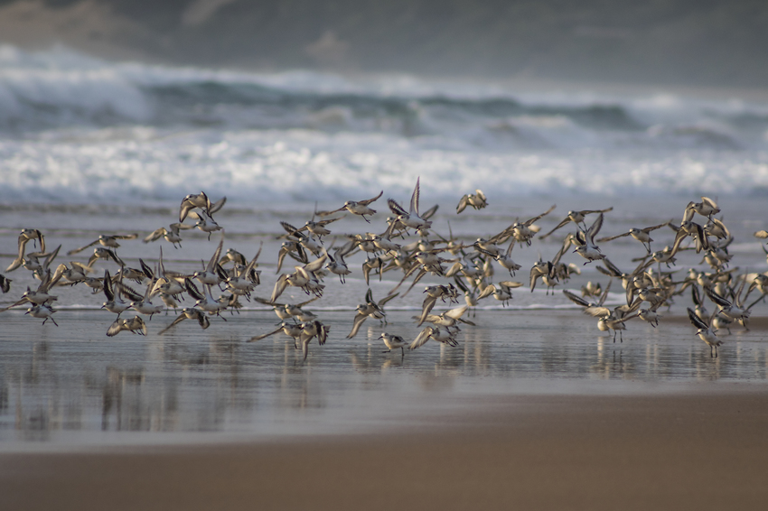 Machangulo Beach Lodge Nampula Mozambique16