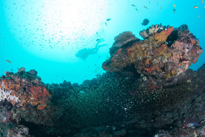 Machangulo Beach Lodge Nampula Mozambique32