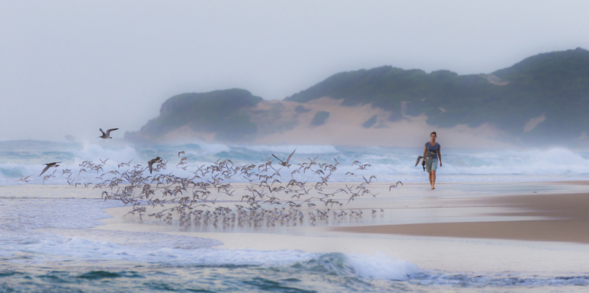 Machangulo Beach Lodge Nampula Mozambique36