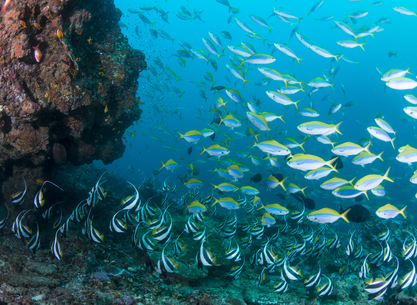 Machangulo Beach Lodge Nampula Mozambique52