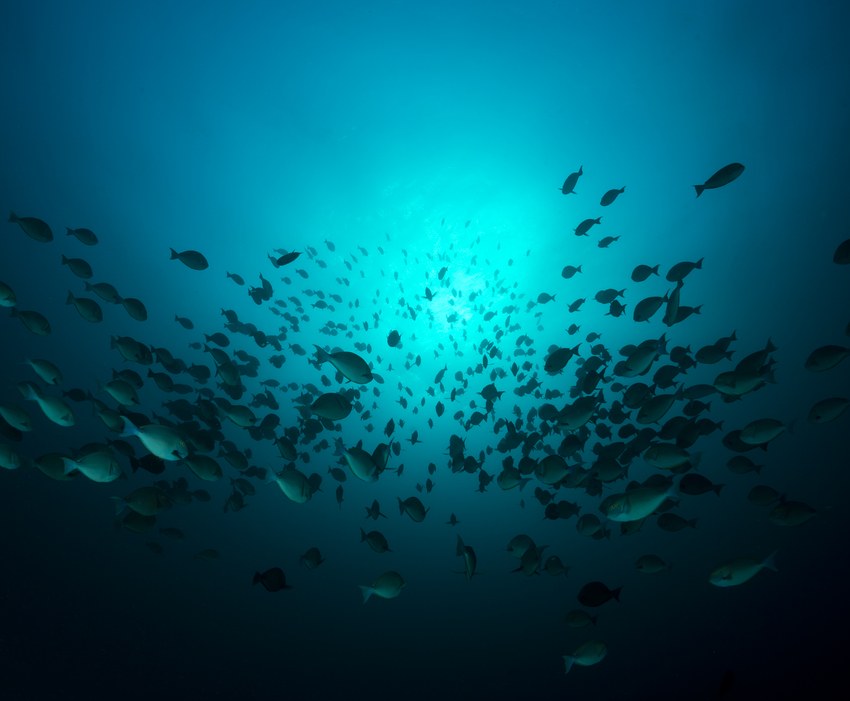 Machangulo Beach Lodge Nampula Mozambique57