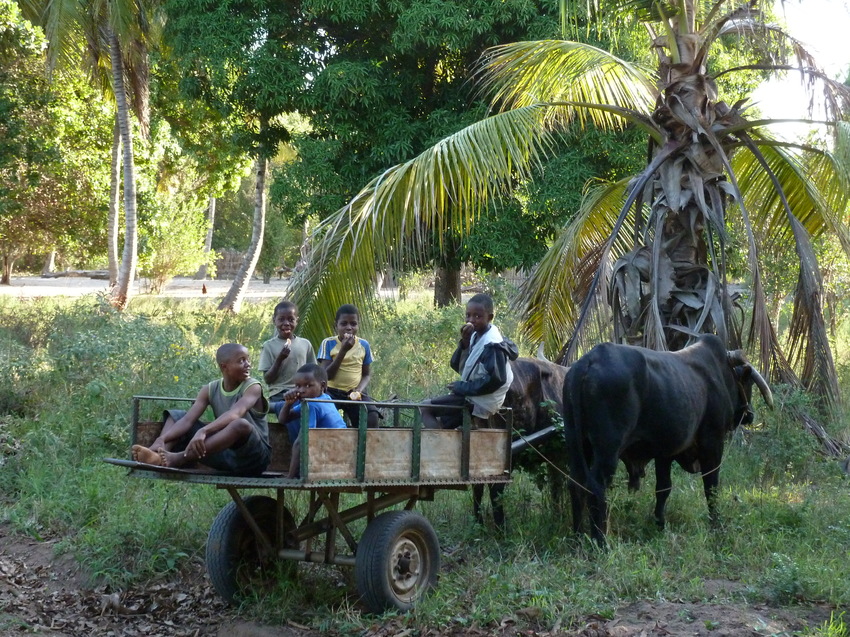 Dunes De Dovela Eco Lodge Nampula Mozambique85jpg