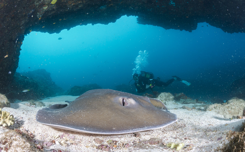 Machangulo Beach Lodge Nampula Mozambique106