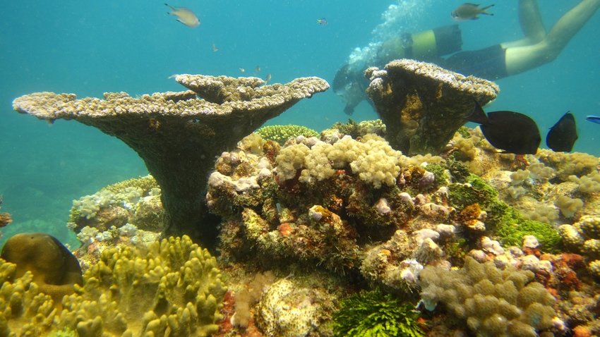 Azura Quilalea Cabo Delgado Mozambique24jpg