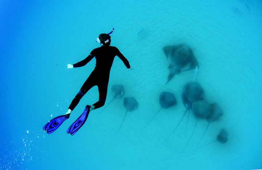 Anantara Bazaruto New Mozambique3