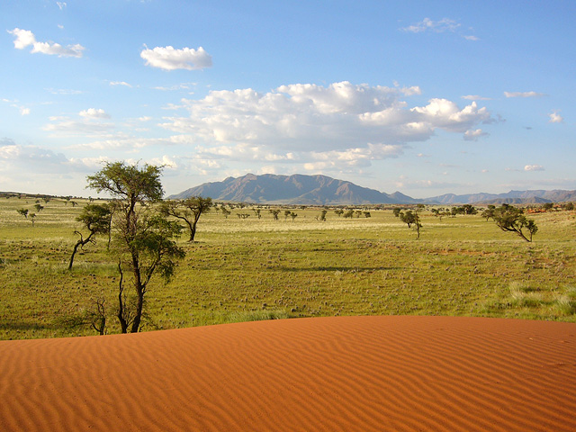 Tok Tokkie Trails Sossusvlei Namibia5