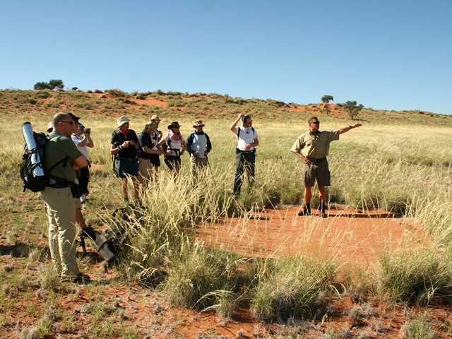 Tok Tokkie Trails Sossusvlei Namibia6