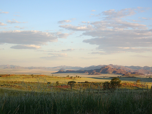 Tok Tokkie Trails Sossusvlei Namibia7