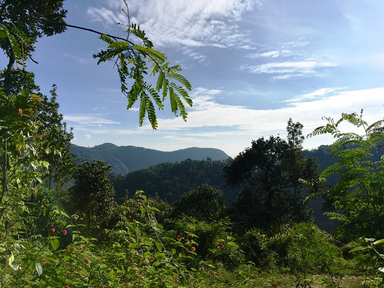 Dindigul Tamil Nadu South India 2