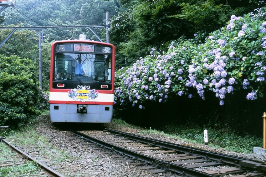 Hakone Japan 1