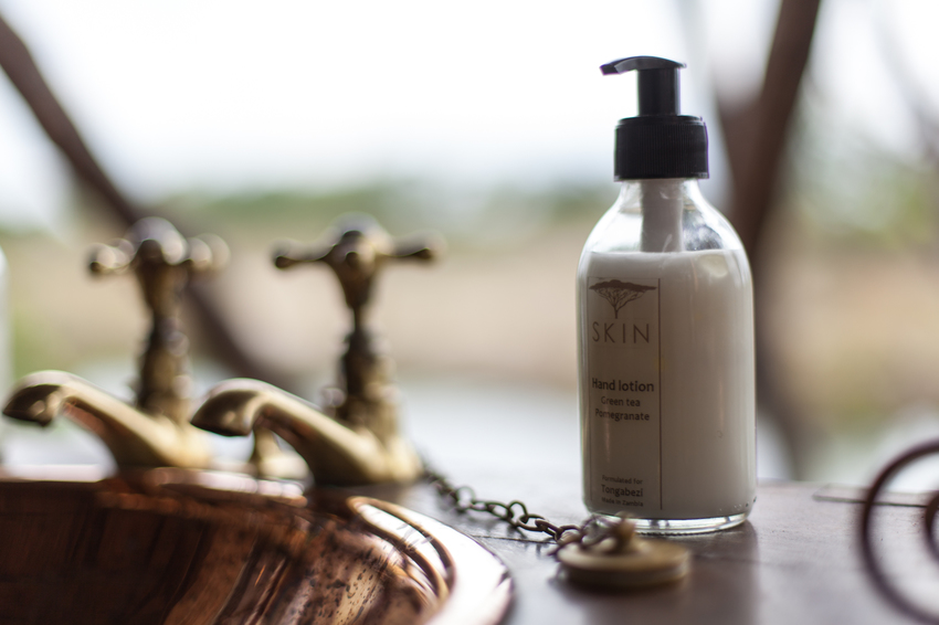 Sindabezi Island Victoria Falls Zambia7