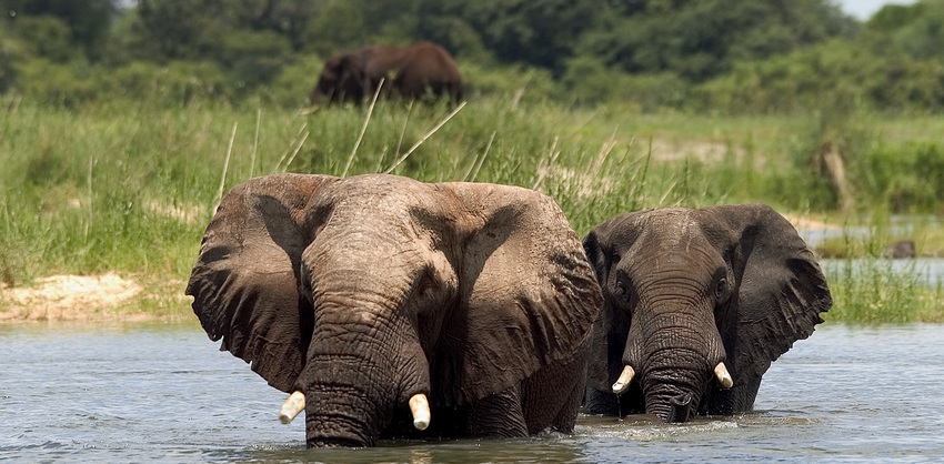 The River Club Victoria Falls Zambia9