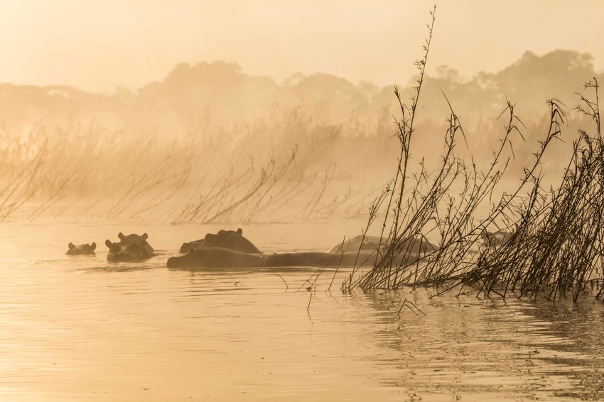 The River Club Victoria Falls Zambia27