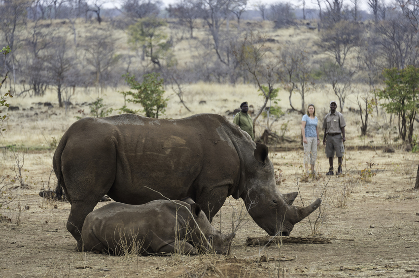 Toka Leya Victoria Falls Zambia15