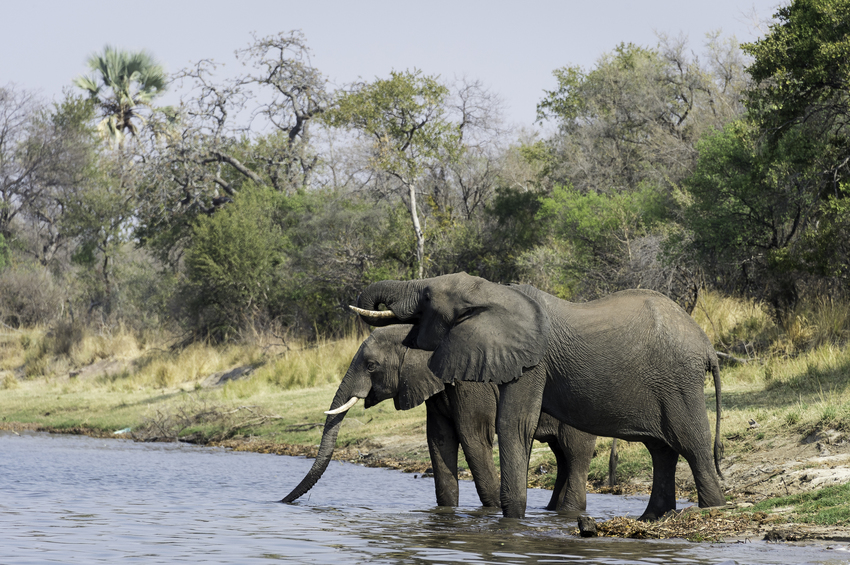 Toka Leya Victoria Falls Zambia23
