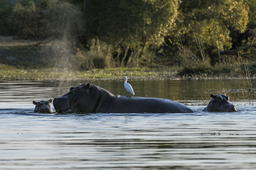 Toka Leya Victoria Falls Zambia35