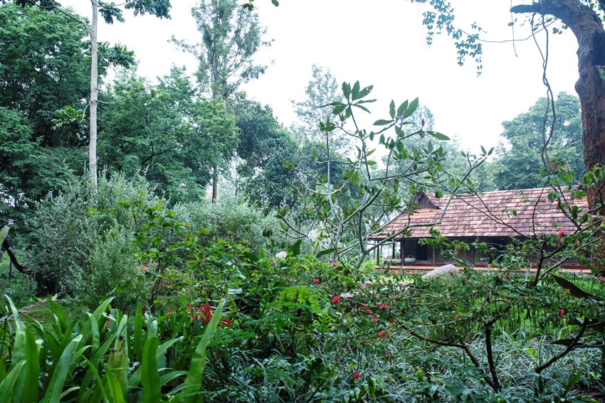 Rajakkad Estate Dindigul Tamil Nadu 5