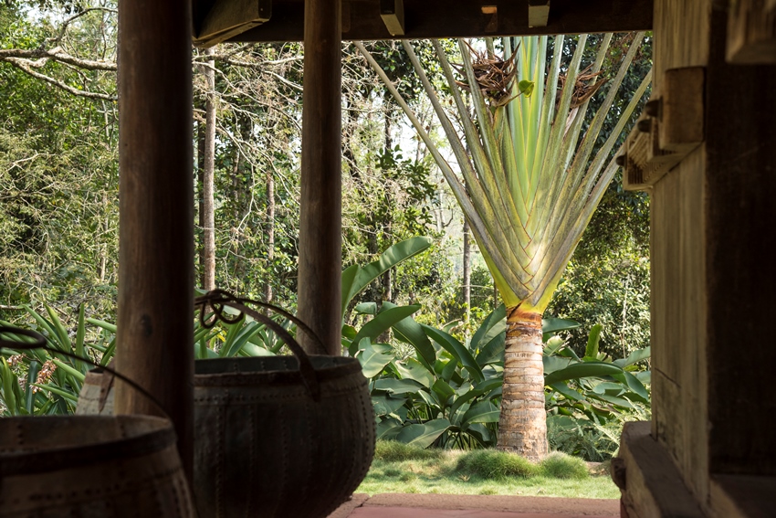 Rajakkad Estate Dindigul Tamil Nadu 14