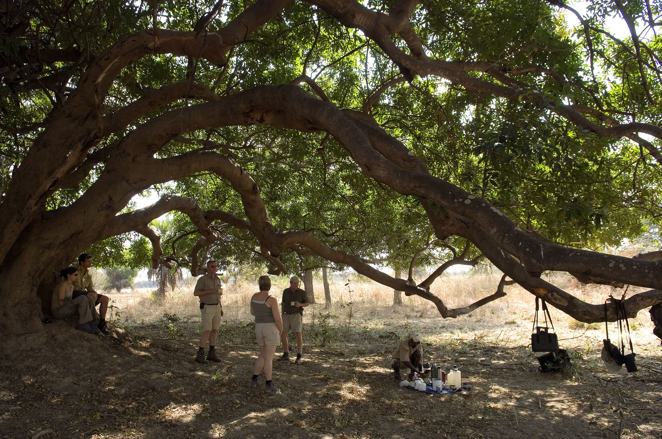Zambia Robin Pope Walking Safaris8