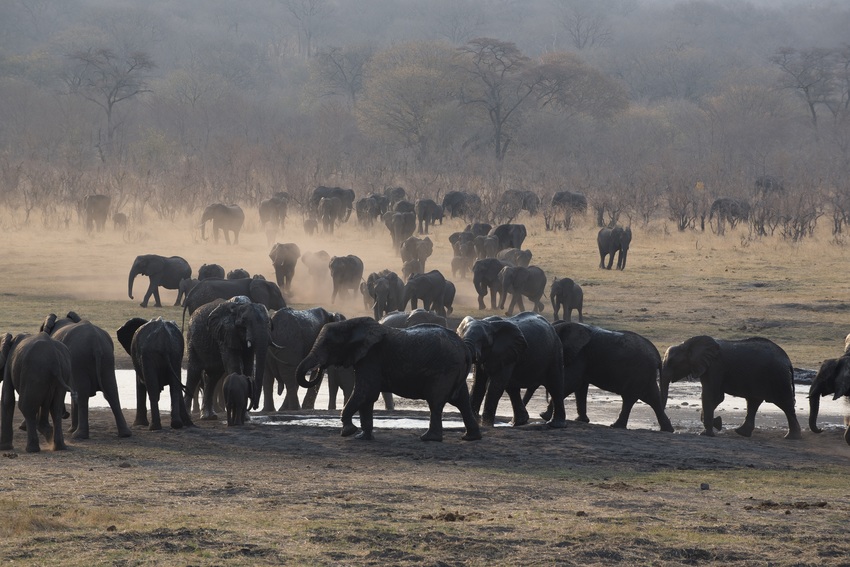Matetsi River Lodge Victoria Falls Zimbabwe8
