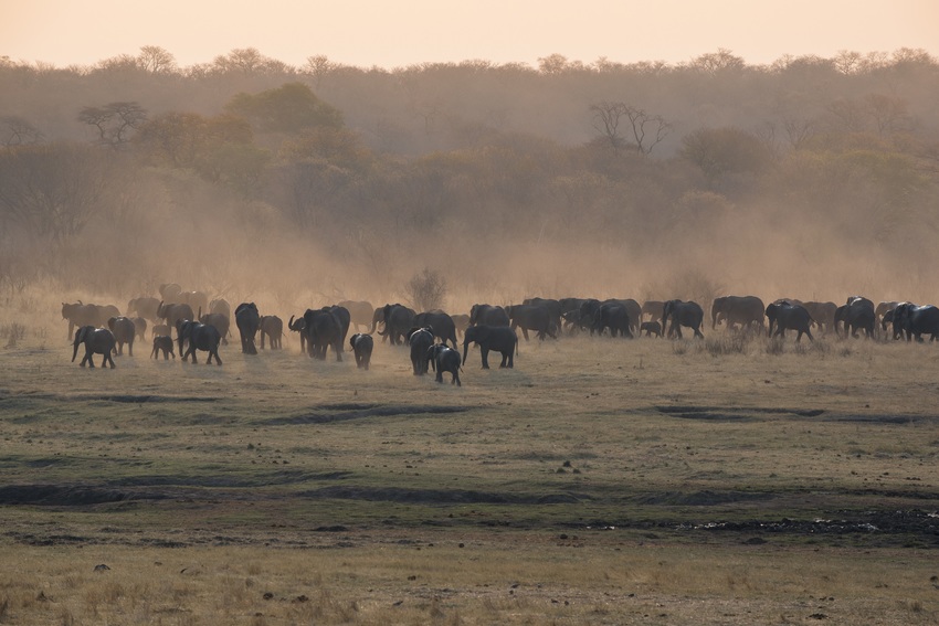 Matetsi River Lodge Victoria Falls Zimbabwe9