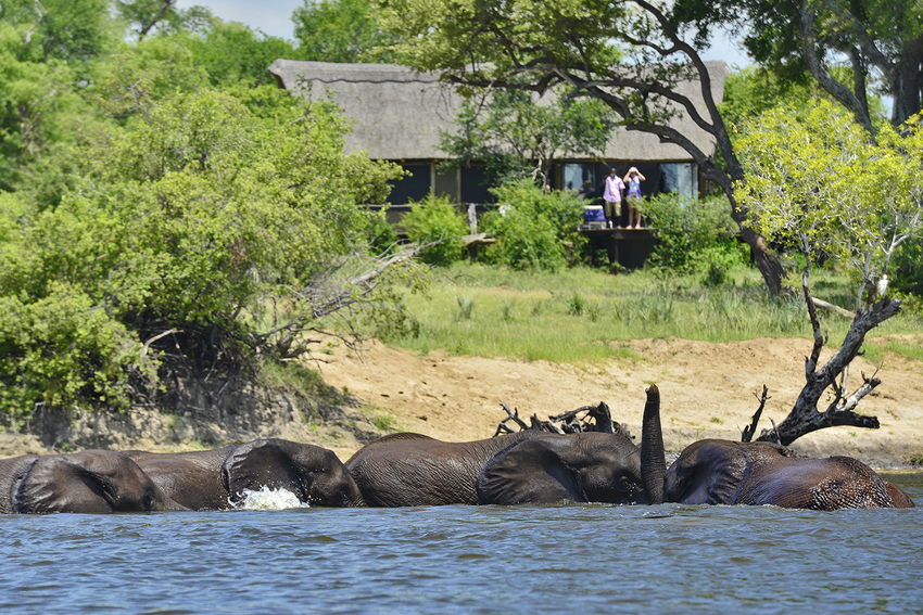 Victoria Falls River Lodge Victoria Falls Zimbabwe7