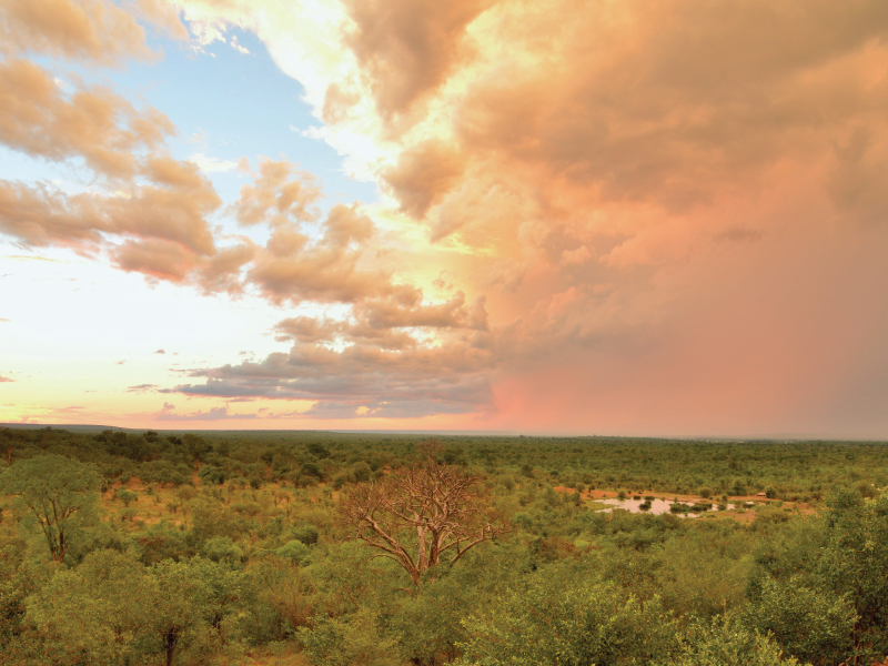 Victoria Falls Safari Club Victoria Falls Zimbabwe2