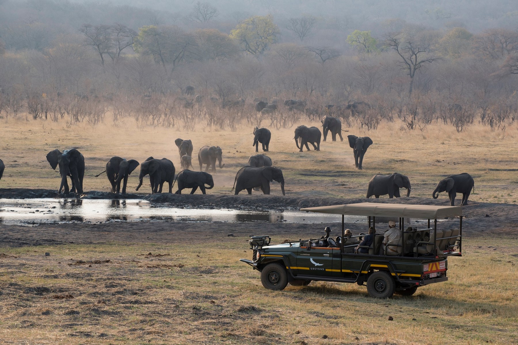 Zimbabwe Matetsi Game Drive Elephants 21