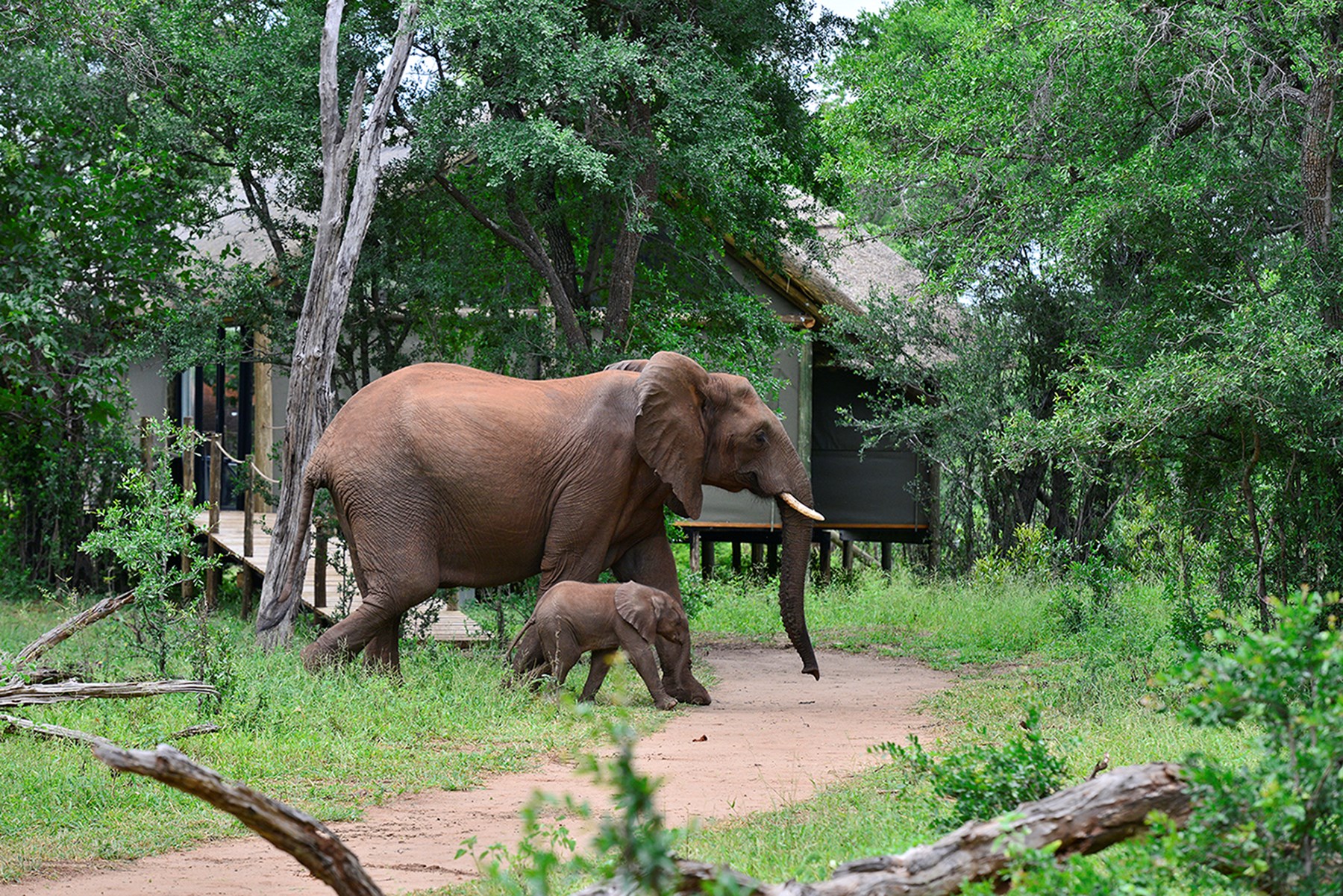 Zimbabwe Victoria Falls River Lodge 48