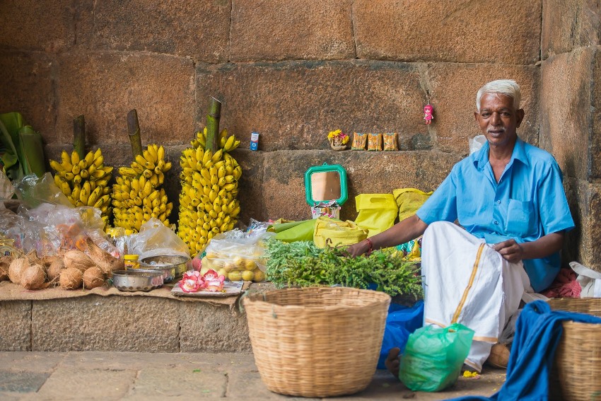 Tanjore Tamil Nadu South India 4