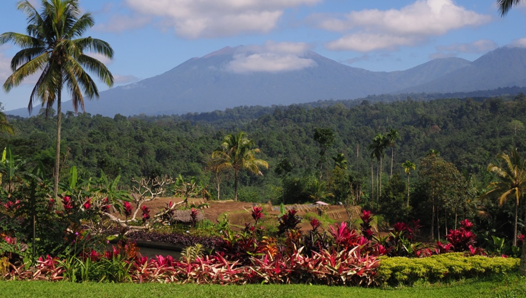 Huxtable Indonesia Aug 2017 5