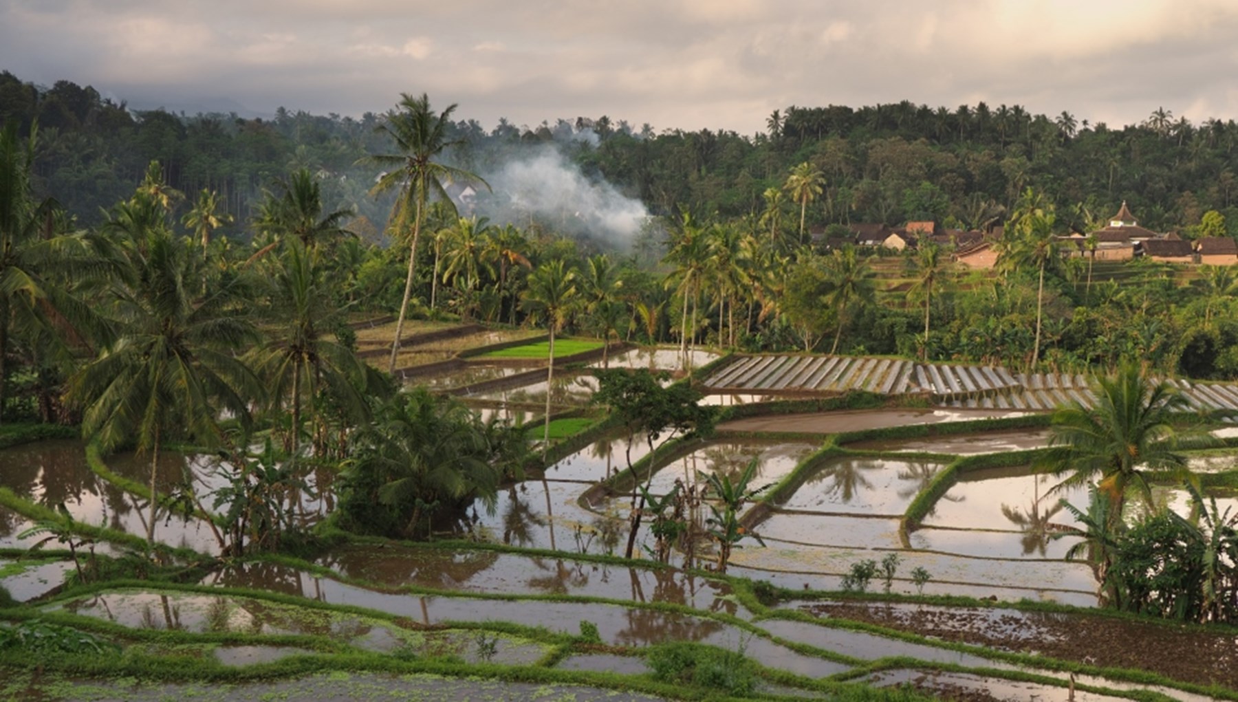 Huxtable Indonesia Aug 2017 6