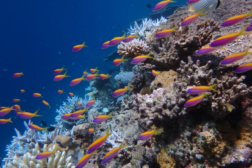 Conrad Maldives Rangali Island Maldives 10