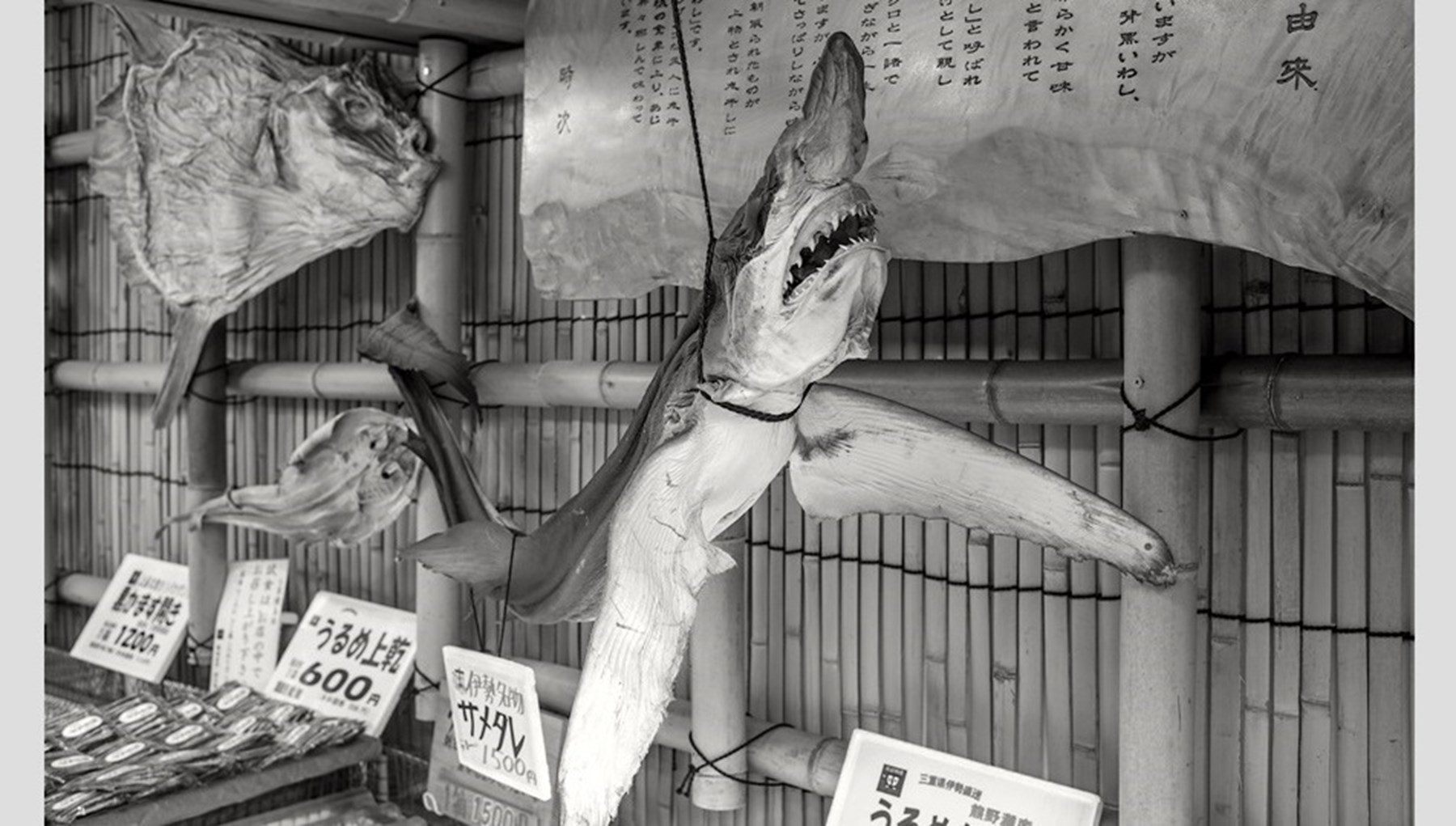 Gideon Bosker Japan October 17 8