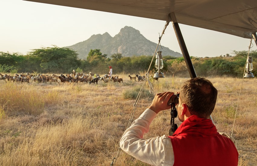 SUJAN JAWAI, Rajasthan, North India (2).jpg