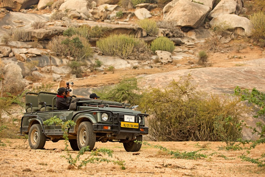 SUJAN JAWAI, Rajasthan, North India (6).jpg